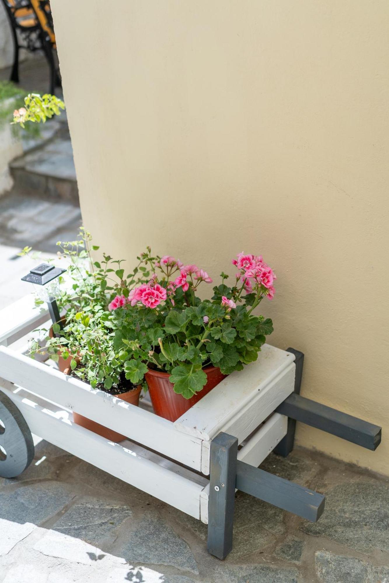 Spacious Home With Yard, Mytilene Lesvos Esterno foto